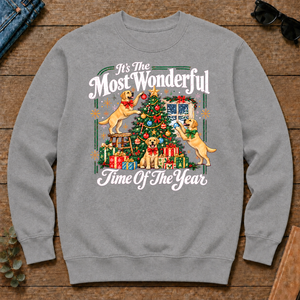 Wonderful Christmas Labrador Retriever - sport-grey - CS2D-SportGrey